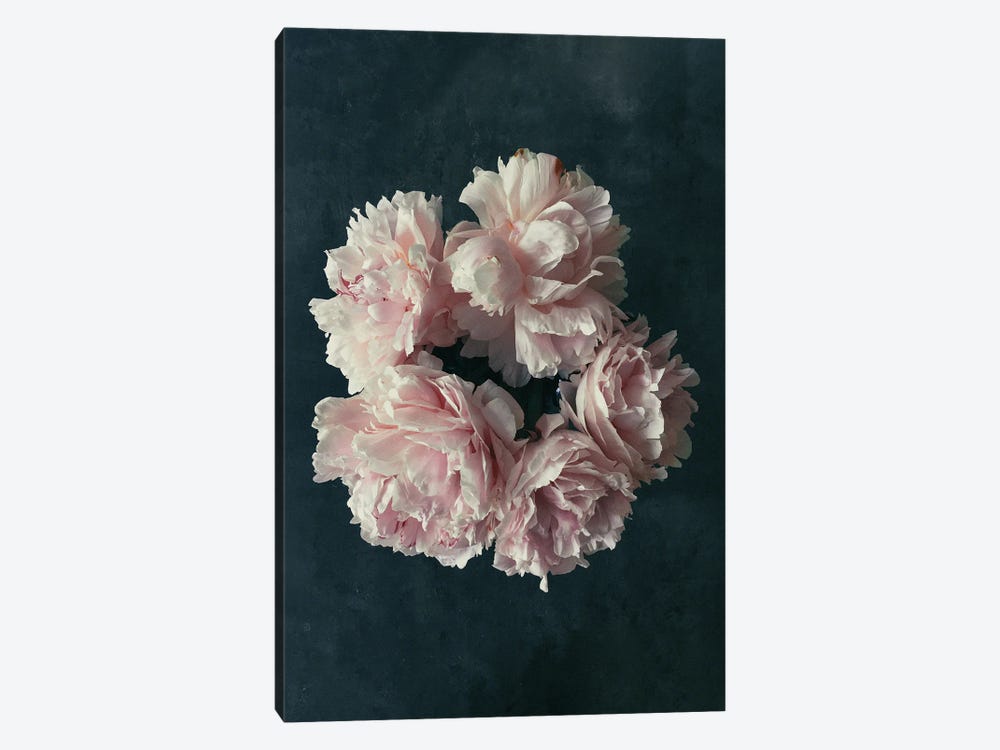 White Blossoms by Sebastian Hilgetag 1-piece Canvas Art Print
