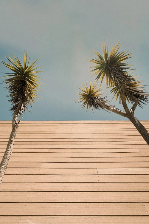 Retro Palms by Sebastian Hilgetag wall art