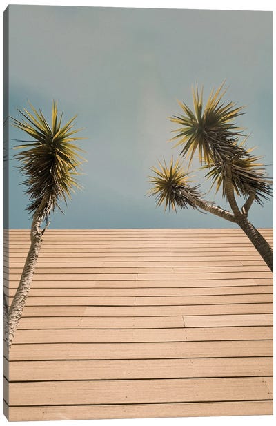 Retro Palms Canvas Art Print - Sebastian Hilgetag