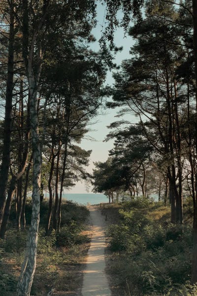 Sebastian Hilgetag: Beach Path by Sebastian Hilgetag