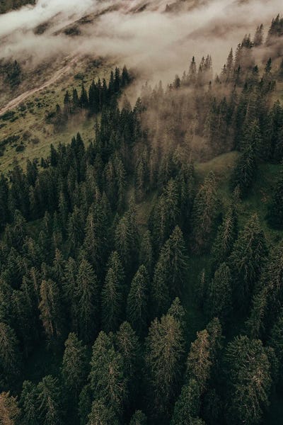 Calm Mornings And Clouds by Sebastian Hilgetag multi panel art