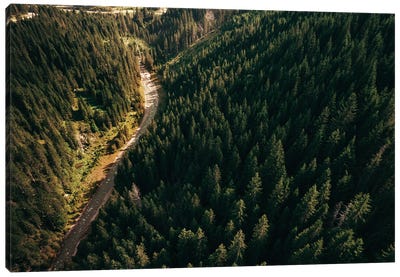 Road Through The Trees Canvas Art Print - Aerial Photography