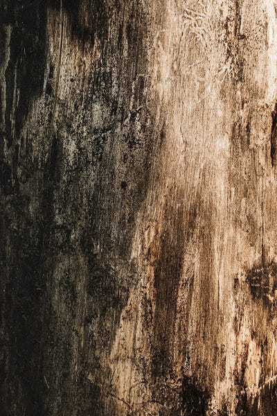 Natural Elements: Artistic Surface by Sebastian Hilgetag