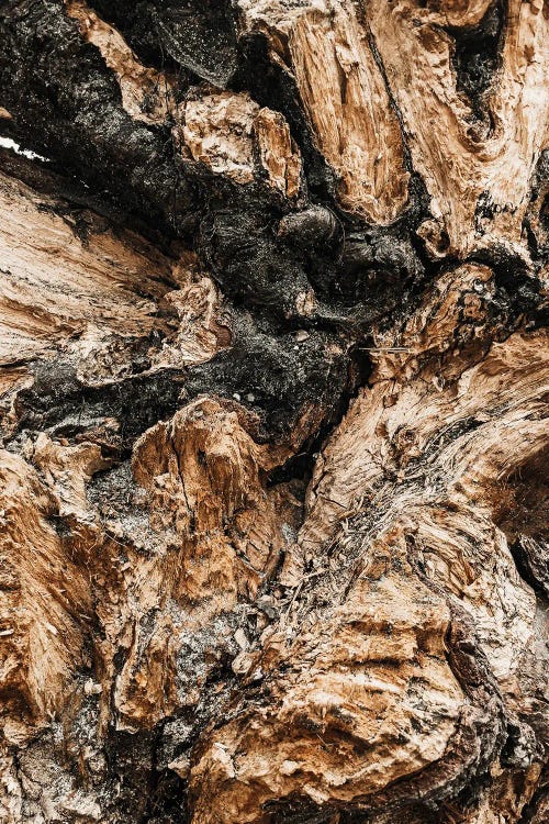 Artistic Wood Natural by Sebastian Hilgetag wall art