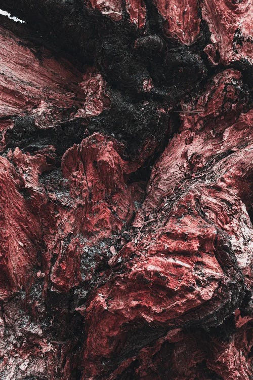 Artistic Wood Red by Sebastian Hilgetag wall art