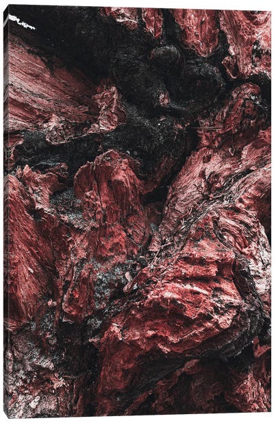 Artistic Wood Red Canvas Art Print - Sebastian Hilgetag