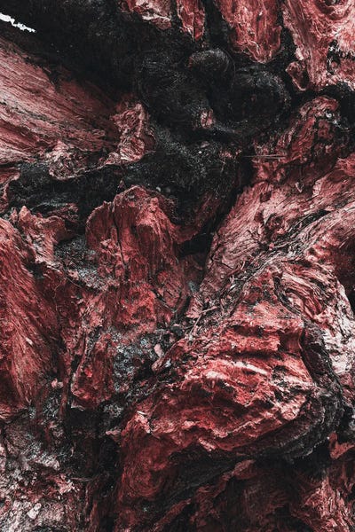 Sebastian Hilgetag: Artistic Wood Red by Sebastian Hilgetag