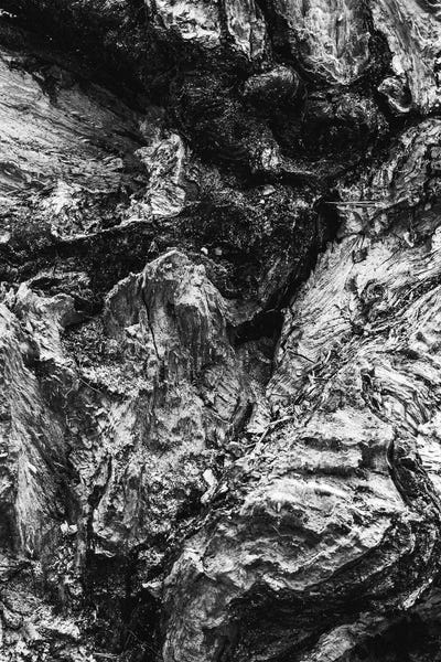 Black & White Florals: Artistic Wood by Sebastian Hilgetag