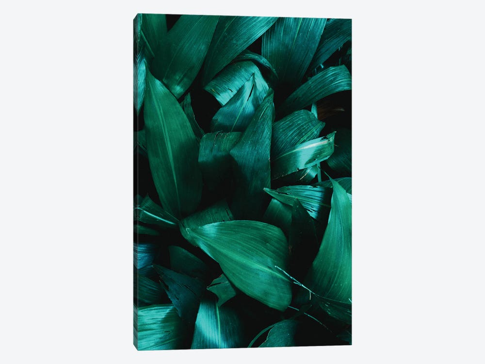 Botanical - Plant Texture II by Sebastian Hilgetag 1-piece Art Print