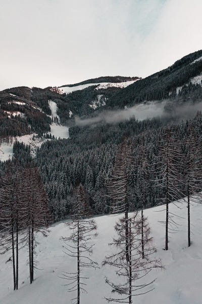 Snow: A Calm Winter's Day by Sebastian Hilgetag