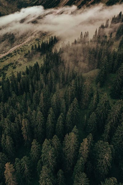 Calm Mornings II by Sebastian Hilgetag canvas print