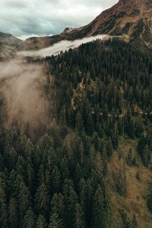 Clouds And The Trees