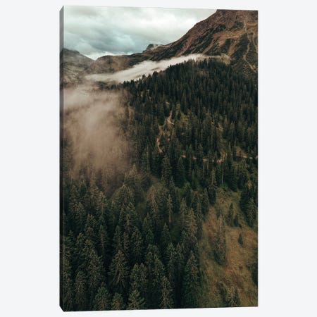 Clouds And The Trees Canvas Print #HGT202} by Sebastian Hilgetag Canvas Artwork