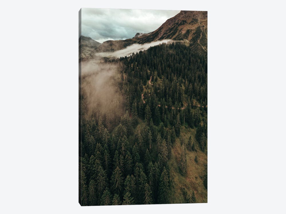 Clouds And The Trees by Sebastian Hilgetag 1-piece Canvas Print