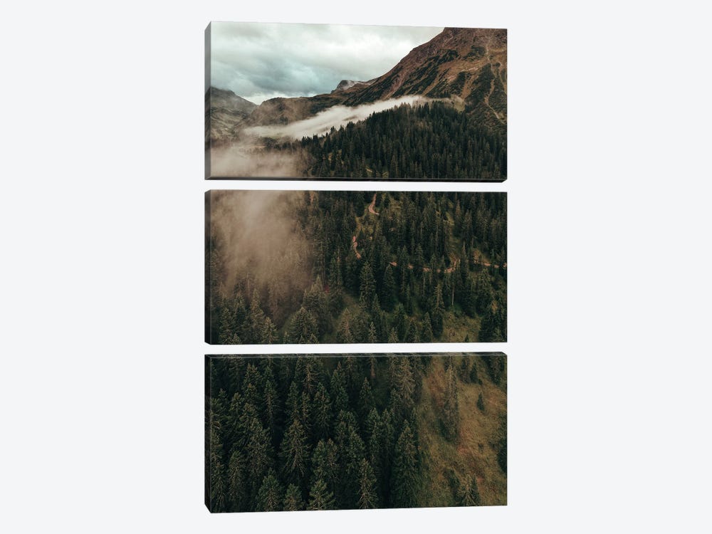Clouds And The Trees by Sebastian Hilgetag 3-piece Art Print