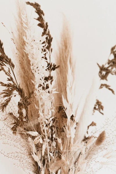 Grasses: Decorative Bunch by Sebastian Hilgetag