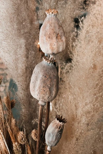 Monochromatic Photography: Decorative Dryed Bouquet by Sebastian Hilgetag