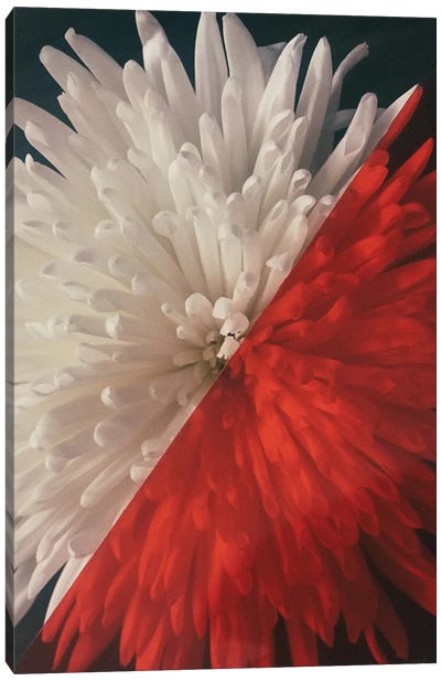 Floral - Blossom Canvas Art Print - Sebastian Hilgetag