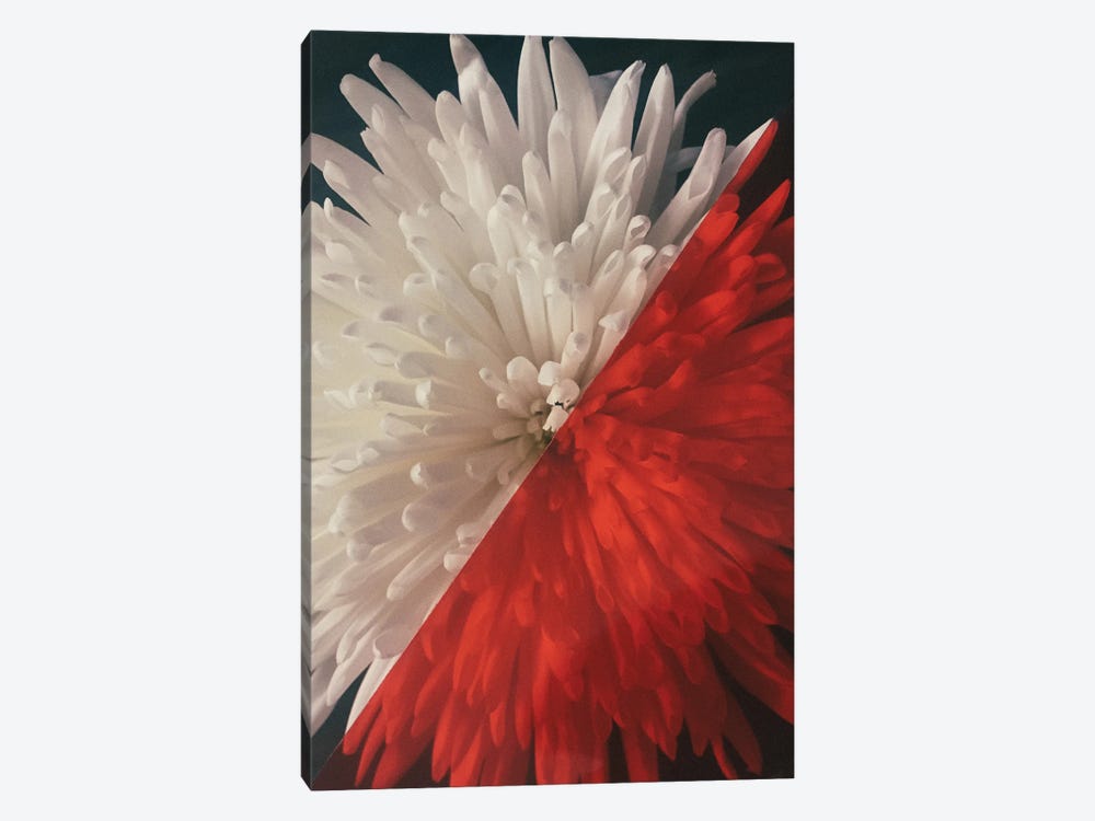 Floral - Blossom by Sebastian Hilgetag 1-piece Canvas Art Print