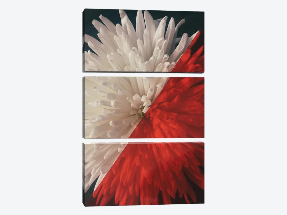 Floral - Blossom by Sebastian Hilgetag 3-piece Canvas Print