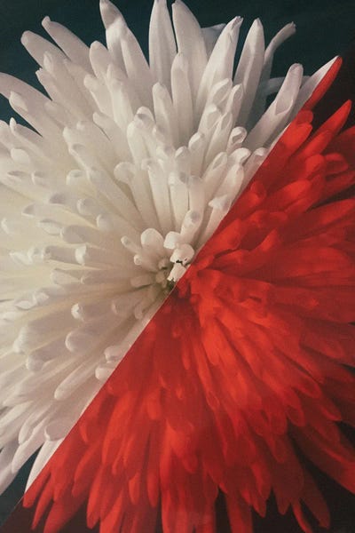 Sebastian Hilgetag: Floral - Blossom by Sebastian Hilgetag