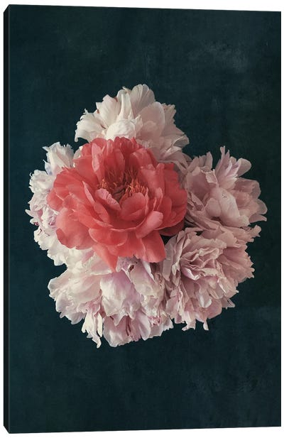 Floral - Decorative Blossoms In A Bouquet Of Flowers Canvas Art Print - Peony Art