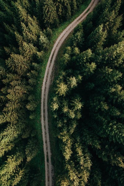 Aerial Photography: Forest Path by Sebastian Hilgetag