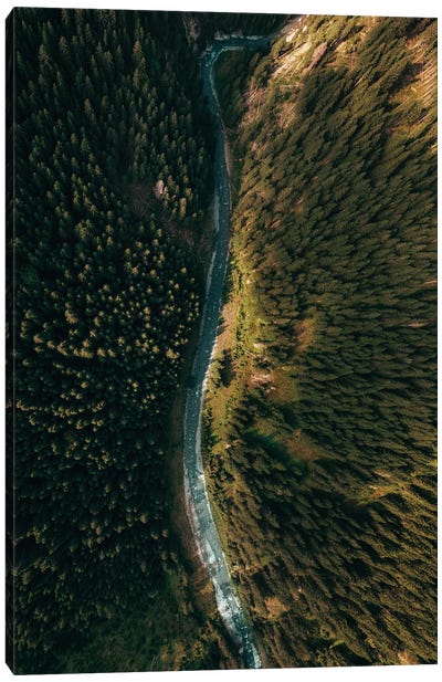 River Canvas Art Print - Aerial Photography