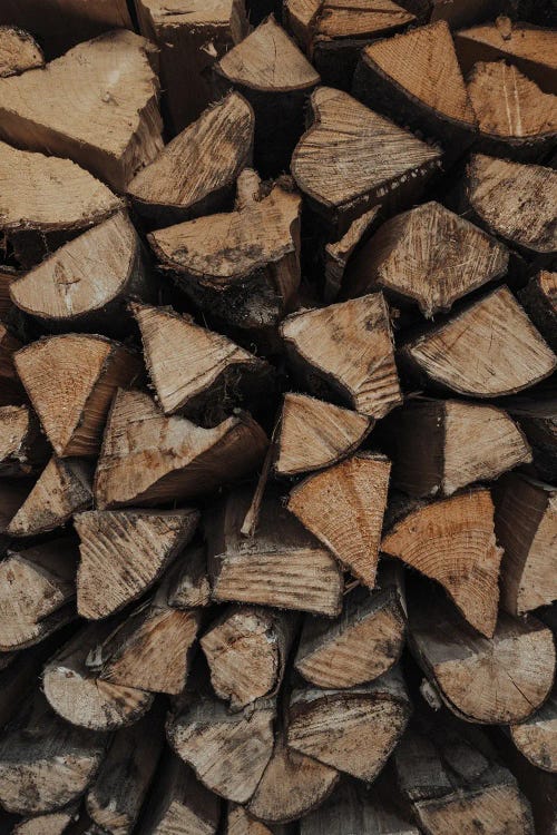 Woody Textures