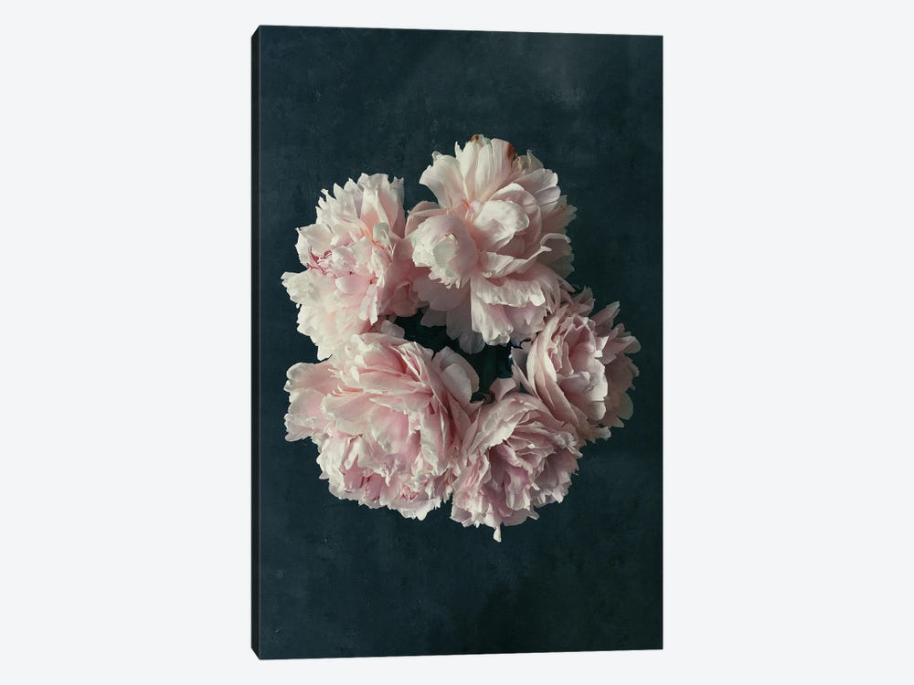 White Blossoms II by Sebastian Hilgetag 1-piece Art Print