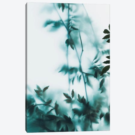 Blue Leaves On Frosted Glass Canvas Print #HGT244} by Sebastian Hilgetag Art Print