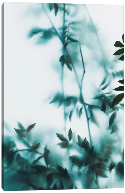 Blue Leaves On Frosted Glass Canvas Art Print - Sebastian Hilgetag