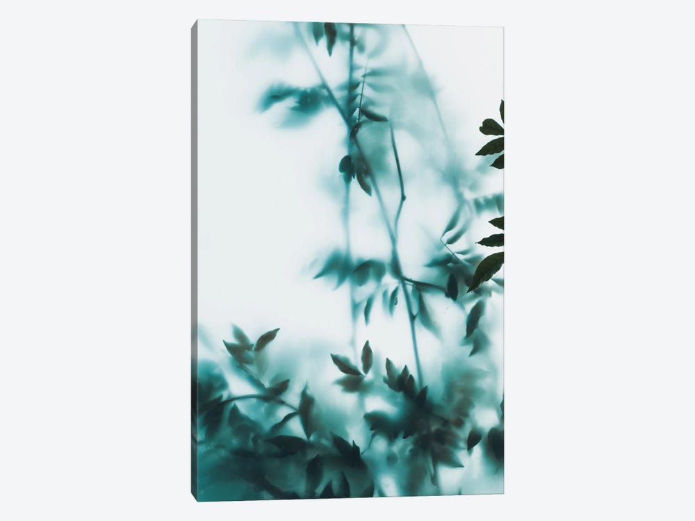 Blue Leaves On Frosted Glass by Sebastian Hilgetag 1-piece Canvas Art Print