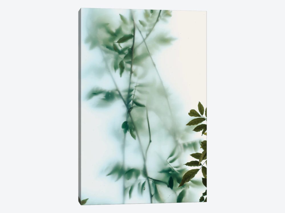 Leaves And Frosted Glass by Sebastian Hilgetag 1-piece Canvas Print
