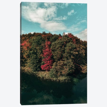 Colorful Forest Canvas Print #HGT255} by Sebastian Hilgetag Canvas Wall Art
