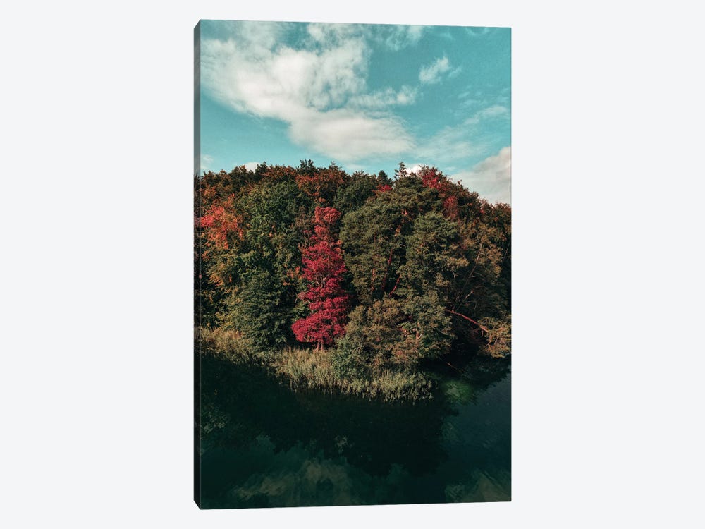 Colorful Forest by Sebastian Hilgetag 1-piece Canvas Print