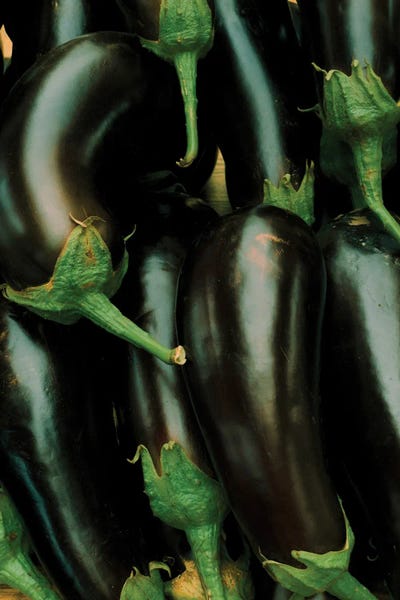 Monochromatic Photography: Aubergine Overload by Sebastian Hilgetag