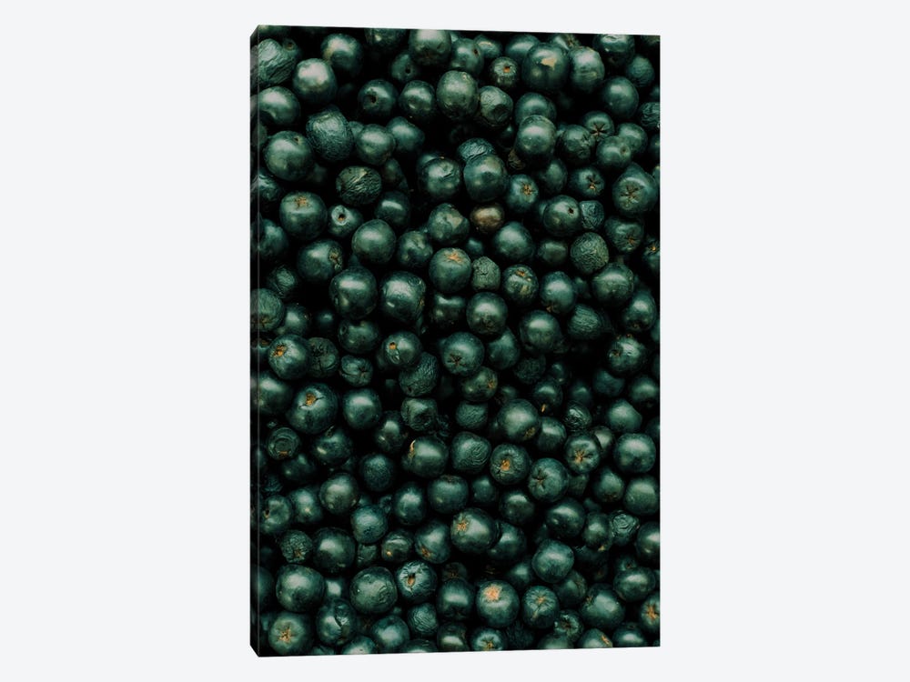 Berry Love by Sebastian Hilgetag 1-piece Art Print