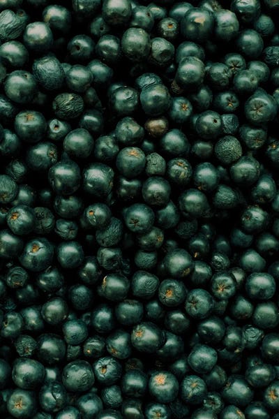 Monochromatic Photography: Berry Love by Sebastian Hilgetag