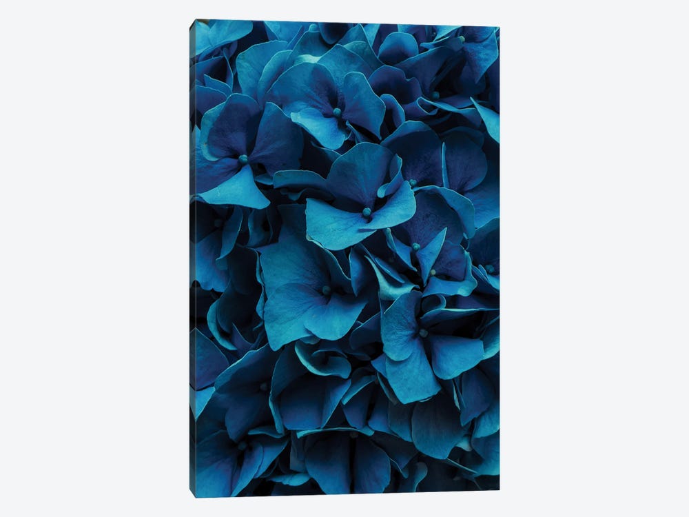 Blue Blossoms by Sebastian Hilgetag 1-piece Art Print