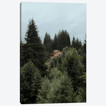 Cabin In The Woods Canvas Print #HGT263} by Sebastian Hilgetag Canvas Wall Art