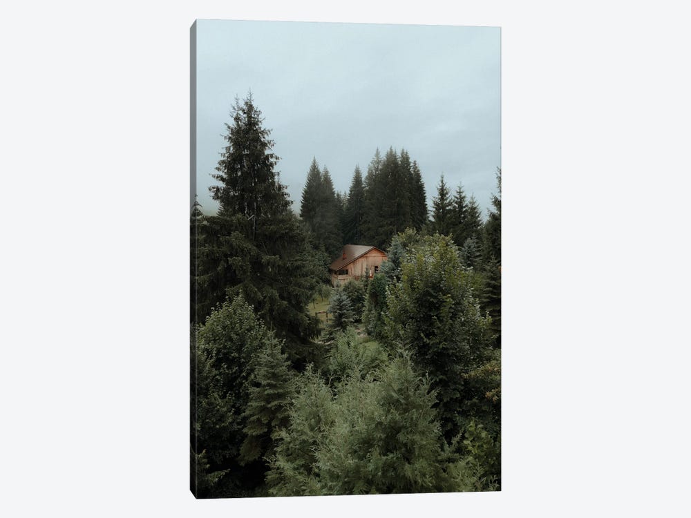 Cabin In The Woods by Sebastian Hilgetag 1-piece Canvas Artwork