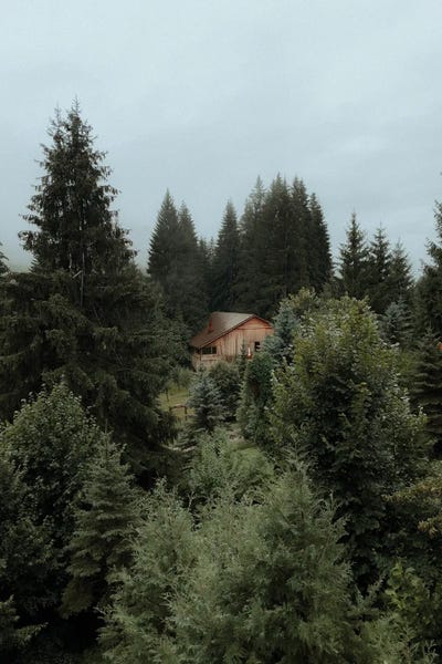 Cabins: Cabin In The Woods by Sebastian Hilgetag