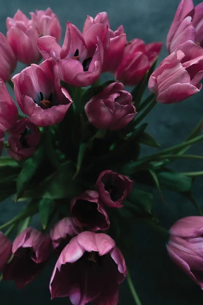Tulips: Decorative Flower Bouquet I by Sebastian Hilgetag