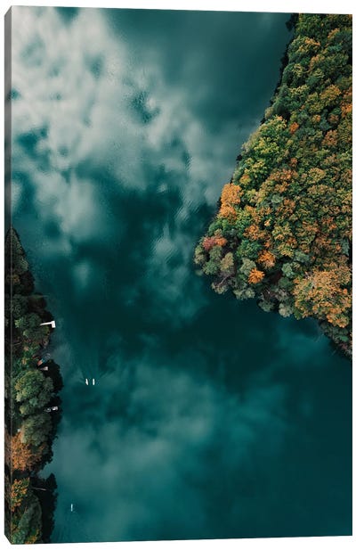 Forest And Water Canvas Art Print - Sebastian Hilgetag