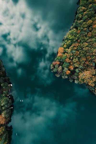 Sebastian Hilgetag: Forest And Water by Sebastian Hilgetag