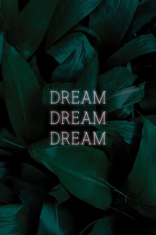 Dream Dream Dream II by Sebastian Hilgetag wall art