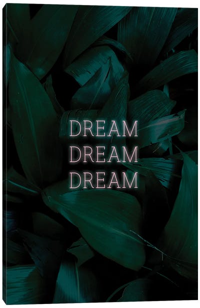 Dream Dream Dream II Canvas Art Print - Neon Typography