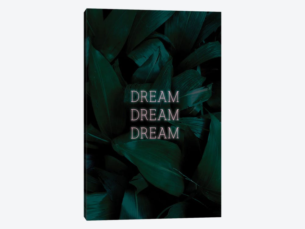 Dream Dream Dream II by Sebastian Hilgetag 1-piece Art Print