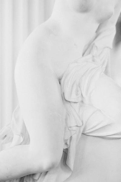 Female Shapes II by Sebastian Hilgetag canvas print